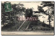 CPA Foret de Fontainebleau Tour Denecourt 