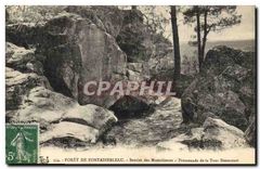 CPA Foret de Fontainebleau Sentier des Mastodontes Promenade de la Tour Denecourt 
