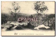 CPA Foret de Fontainebleau Gorges de Franchard 
