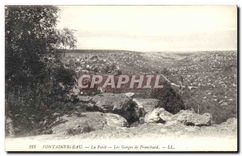 CPA Fontainebleau La Foret Les Gorges de Franchard 