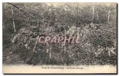 CPA Foret de Fontainebleau La Roche Eponge 
