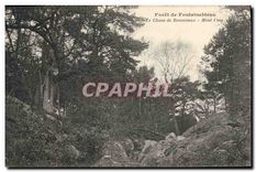 CPA Foret de Fontainebleau Le Chaos de Roncevaux Mont Ussy 