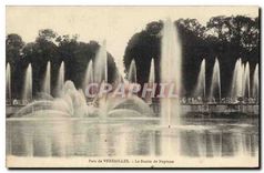 CPA Parc de Versailles Le Bassin de Neptune 