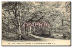 CPA Fontainebleau La Foret Le Carrefour du Nid de l'Aigle 