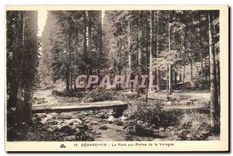 CPA Gerardmer Le Pont aux Perles de la Vologne
