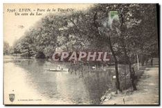 CPA Lyon Parc de la Tete d'Or Un coin du Lac