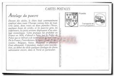 REPRO Lille Attelage de chiens