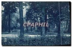 CPA Foret Arbres