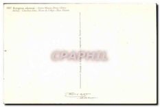 CPA Fantaisie Fleurs Eryngium alpinum