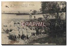 CPA Quatre vingt dix neuf Moutons 