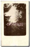 CARTE PHOTO Arbres