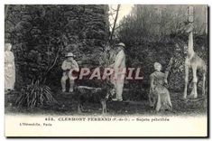 CPA Clermont Ferrand P de D Sujets petrifies Giraffe Chevre