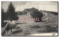 CPA Aix les Bains Plateau du Revard Vaches