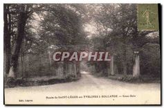 CPA Route de Saint Leger en Yvelines a Hollande Sous Bois 