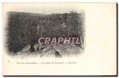 CPA Foret de Fontainebleau Les Gorges de Franchard 