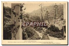 CPA Ile de Port Cros Var 