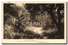 CPA Ile de Port Cros Var 