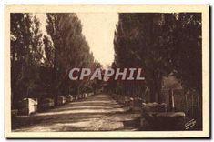 CPA Arles sur Rhone Les Alyscamps Allee des Tombeaux 