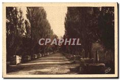 CPA Arles sur Rhone Les Alyscamps Allee des Tombeaux 