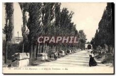 CPA Arles Les Alyscamps L'Allee des Tombeaux 