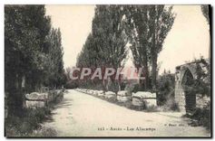 CPA Arles Les Aliscamps 