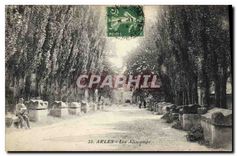 CPA Arles Les Aliscamps 