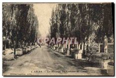 CPA Arles Les Aliscamps Les Tombeaux des Consuls 