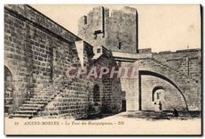 CPA Aigues Mortes La Tour des Bourguignons 