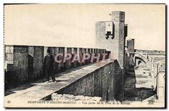 CPA Remparts d'Aigues Mortes Vue prise de la Tour de la Marine 