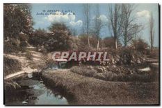 CPA Rennes L et V Jardin des Plantes L'lle 