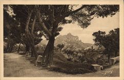 CPA Paysages et Pierres de Provence les Alpilles vues dela Route de St Remy aux Baux 