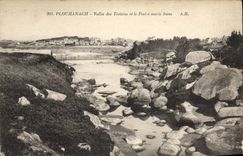 CPA Ploumanach Vallee des Troicros et le port a maree basse 