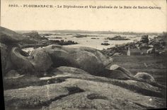 CPA Ploumanach le Diplodocus et vue generale de la Baie de Saint Quirec 