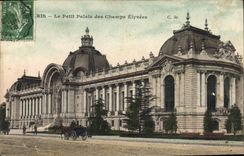 CPA Paris Le Petit Palais des Champs Elysees 