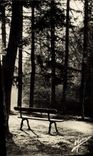 CPM Nos Jolis Sous Bois Le Bois de Vincennes Le Lac des Minimes Solitude 