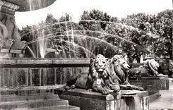 CPM Aix en Provence la Grande Fontaine 