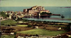 CPA Corse Calvi Plage Vue Generale La Campagne et le Port 