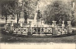 CPA Fontainebleau Le Chateau La Fontaine de Diane 