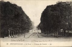 CPA Fontainebleau Le Palais l'Avenue des Cascades 