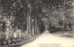 CPA Palais de Fontainebleau La Grande Allee du Jardin Anglais 
