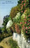 CPA Menton Chemin Fleuri a la Frontiere 
