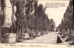 CPA Arles Les Alyscamps L'Allee des Tombeaux 