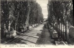 CPA Arles Les Alyscamps L'Allee des Tombeaux 
