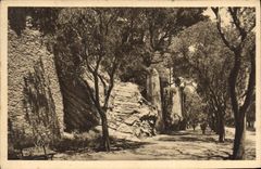 CPA Arles B du R Promenade de la Lice Les Ruines 