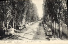 CPA Arles Les Aliscamps L'Allee des Tombeaux 