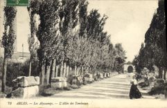CPA Arles Les Alyscamps L'Allee des Tombeaux 