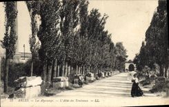 CPA Arles Les Alyscamps L'Allee des Tombeaux 