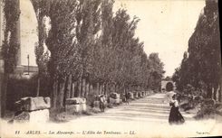 CPA Arles Les Alyscamps L'Allee des Tombeaux 