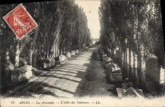CPA Arles Les Alyscamps L'Allee des Tombeaux 