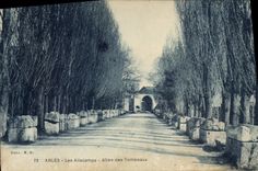 CPA Arles Les Alyscamps L'Allee des Tombeaux 